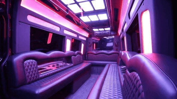 Interior of Whitney Party Bus Company's 14 Passenger Sprinter Limousine in Whitney