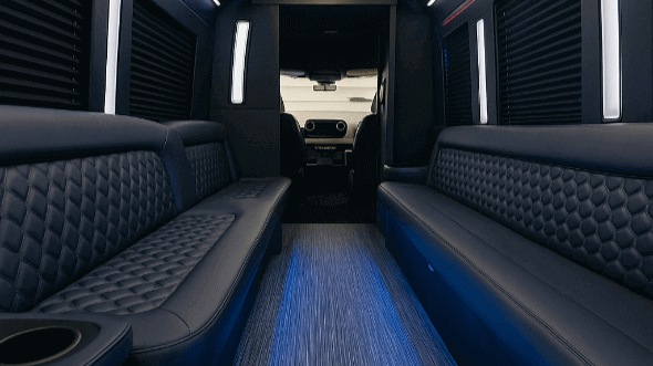 nevada party bus rentals